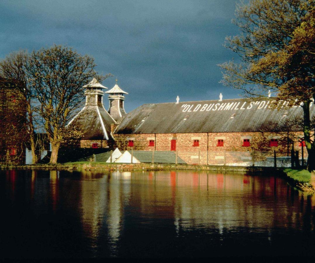 Braeside B&B Bushmills Exteriör bild