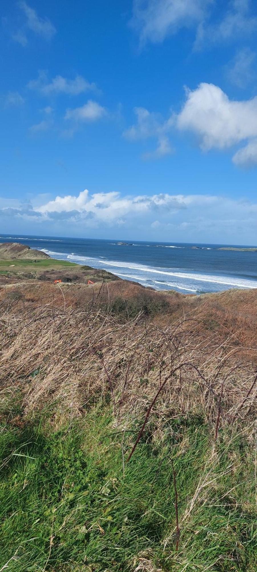 Braeside B&B Bushmills Exteriör bild